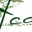 Acacia Safaris Acacia Safaris