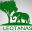 Leotanas Travellers Leotanas Travellers