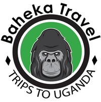 Baheka Travel Baheka Travel