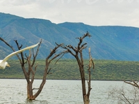 2 Day Nakuru Naivasha tour 2 Day Nakuru Naivasha tour