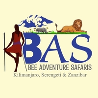 Bee Safari Bee Safari