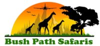 Bush Safaris