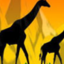 Bush Safaris Bush Safaris