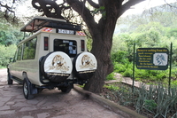 Wild Safaris