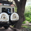 Wild Safaris
