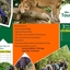 Greatview Tours