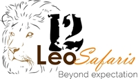 12 Safaris 12 Safaris