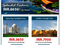 Holiday Packages