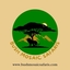 Bush Safaris Bush Safaris