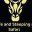 Giraffe Safari Giraffe Safari