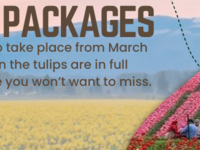 Kashmir Tulip Trip April 4 Days