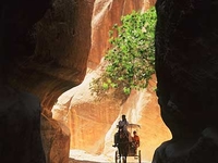 Petra The Siq 2