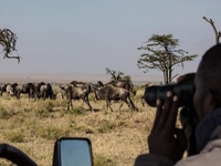 Vacation Masters Kenya Tanzania 10Days Long Safari Vacation Masters Kenya Tanzania 10Days Long Safari