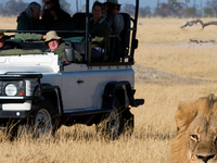 Hwange National Park-Zimbabwe Hwange National Park-Zimbabwe