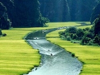 Ninhbinh