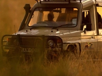 Game Drives Game Drives
