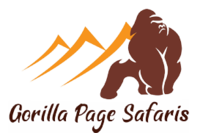 Gorillapagesafaris Gorillapagesafaris
