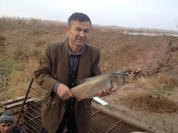Botirali Yuldoshbek Botirali Yuldoshbek
