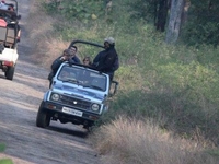 Tadoba National Park