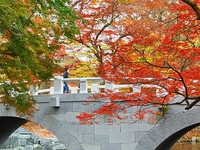 Autumn1 Autumn1