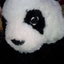 Andreea Socaci Andreea Socaci