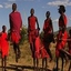 Benmo Safaris