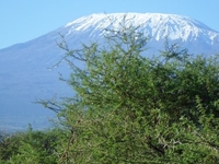 Kili On A Clear Morning Kili On A Clear Morning