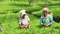 Www.outingkerala.com Www.outingkerala.com