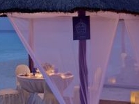 Marvelous Restaurants Marvelous Restaurants