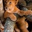 Able Safaris