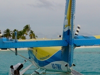 Dsc 0011