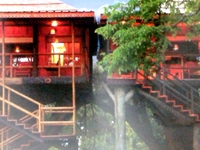 No 1 Luxury Tree house in Periyar............... No 1 Luxury Tree house in Periyar...............