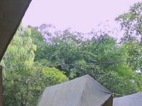 jungle stay in periyar ( Thekkady) jungle stay in periyar ( Thekkady)