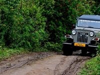 Full Day Jungle Jeep Safari