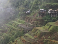 Banaue Rice Terraces