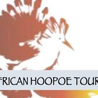 African Tours