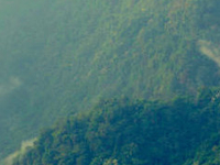 Dsc 0480 001 Dsc 0480 001
