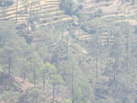 Farwest Nepal