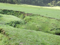 Img 0600