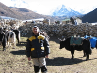 Makalu Tours Makalu Tours