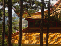 A Pagoda In Dalat City A Pagoda In Dalat City
