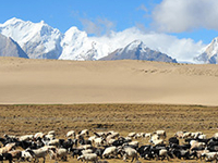 Western Tibet Tour - Mt.Kailash and Guge Kingdom Western Tibet Tour - Mt.Kailash and Guge Kingdom