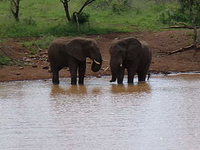 Tsavo National Park