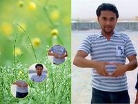 Nafimes Nafimes