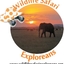 Wildlife Exploreans Wildlife Exploreans