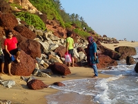 Nature Lover\'s Tourism At Verkala Beach Nature Lover\'s Tourism At Verkala Beach