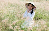 Lan Vu Lan Vu