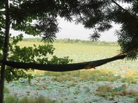 Rest And Relax