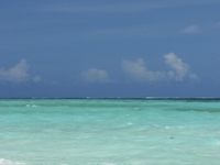 Goa Beachinindia