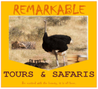 Remakable Travel
